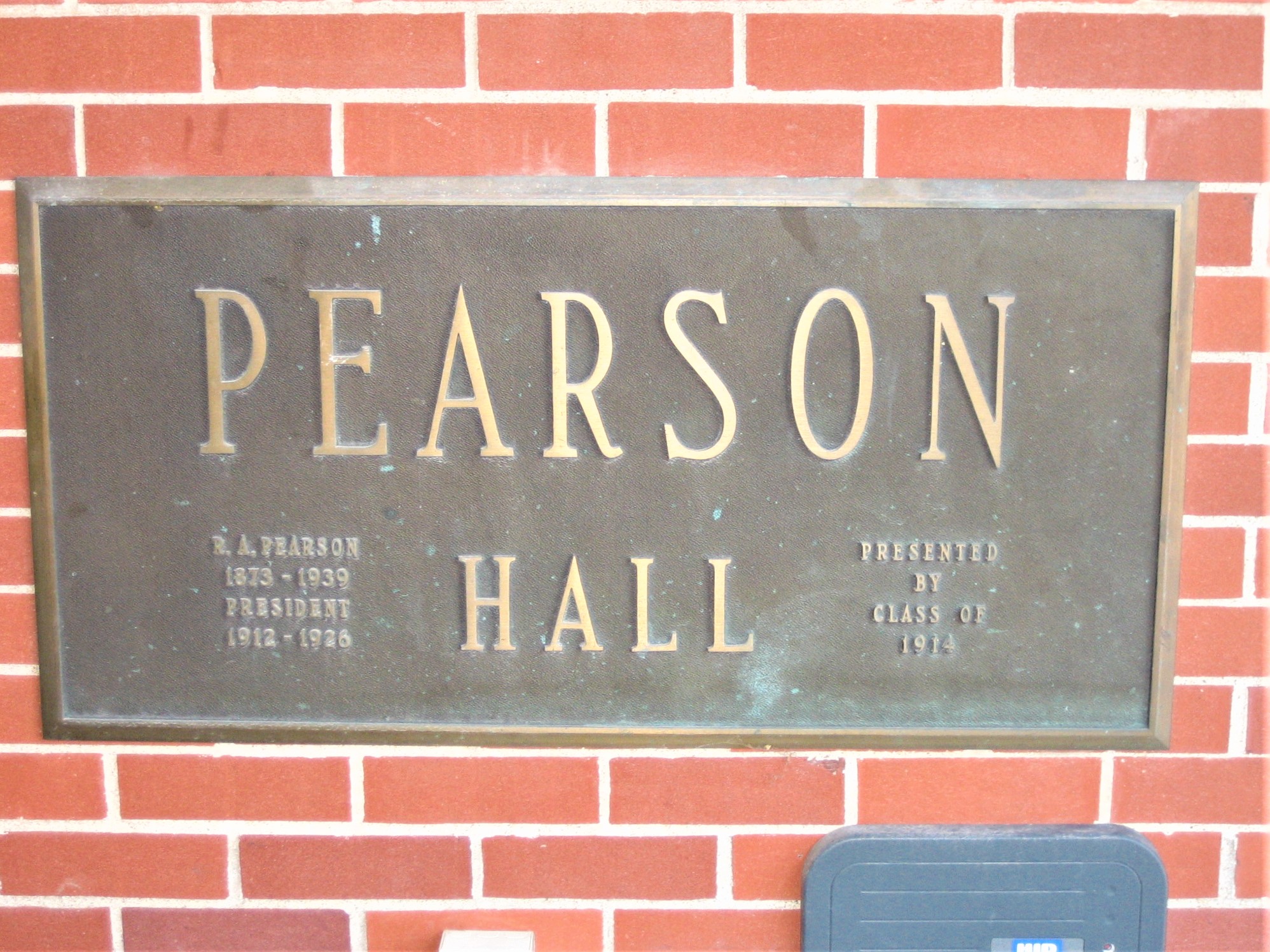 closeup photo